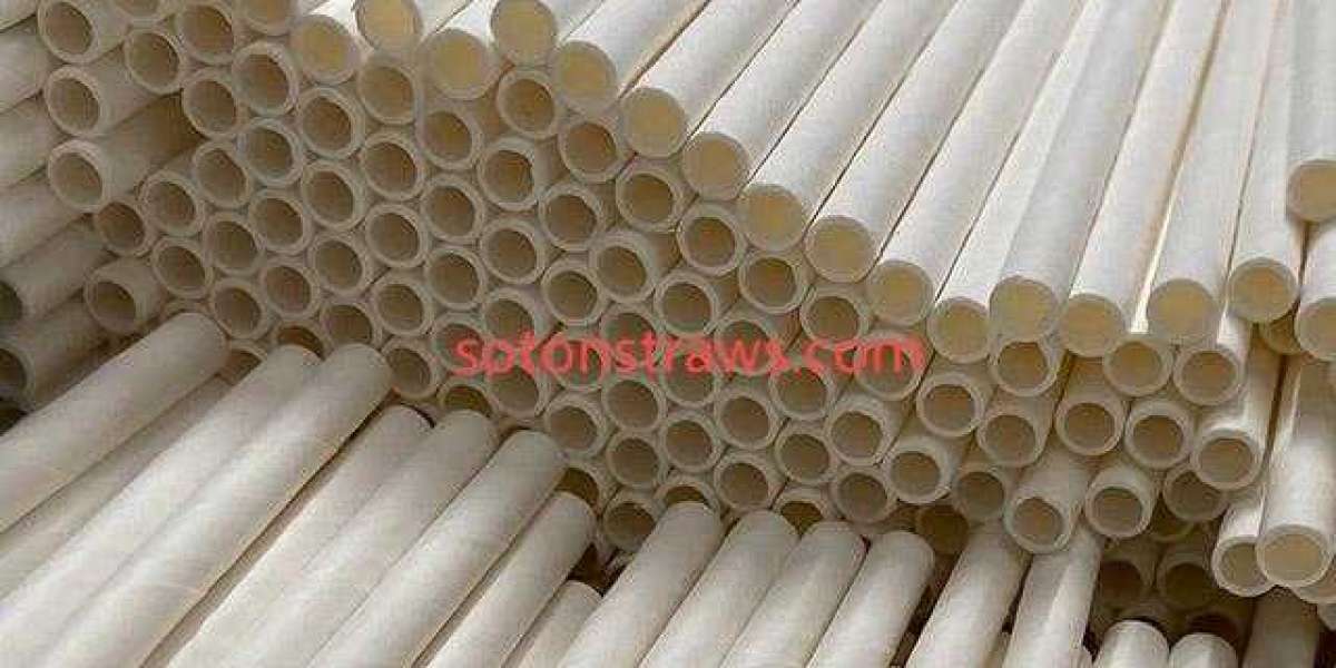 Soton Eco-Friendly Straws Factory: Crafting Liquid Passages Through Time