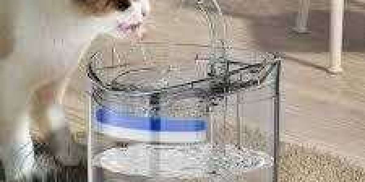 Upgrade Pet Care with China Pet Water Fountain by tallfly