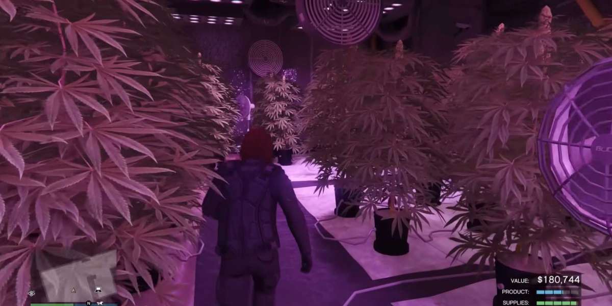 Why MC Businesses Still Pay Off in GTA Online 2025